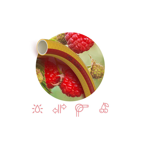 Шланг Патриот Fruit+Berry 1/2-20м